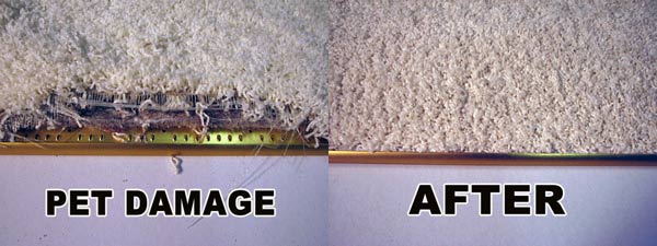 restretch before after